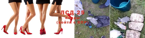 эйфоретик Аркадак